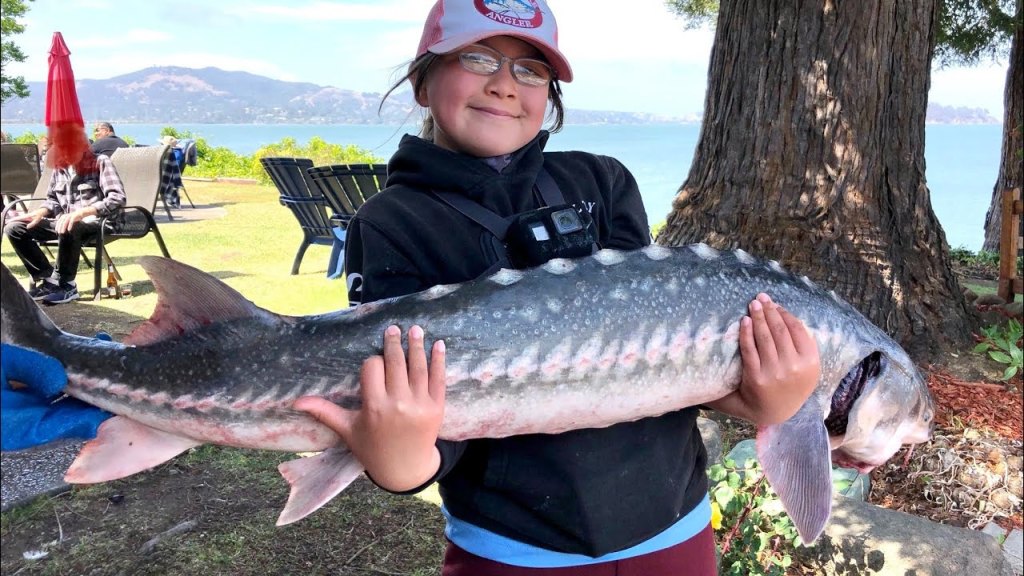 YouTuber Spotlight: Mimi&nbsp;FishFish